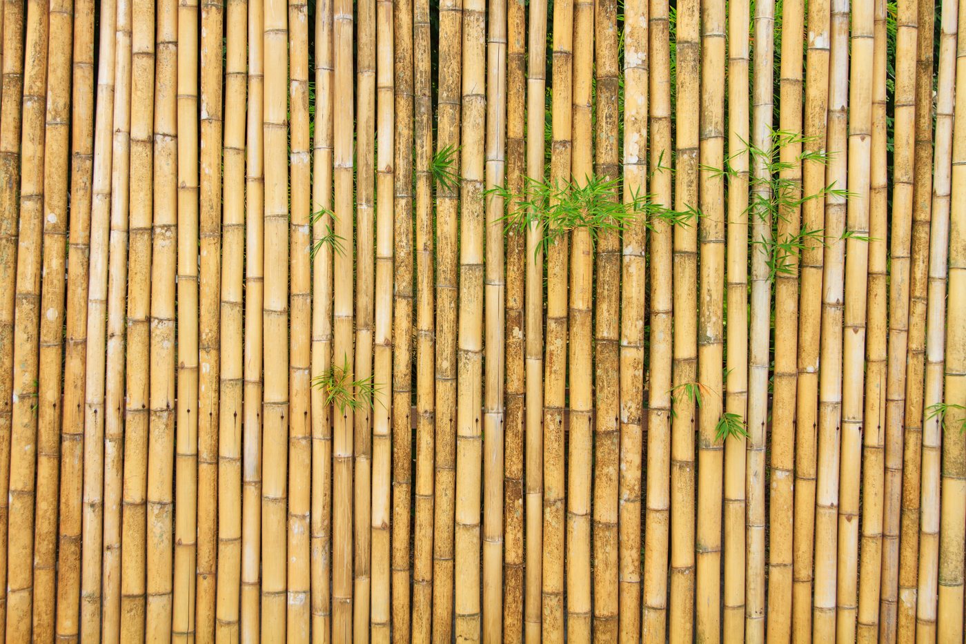 "Are bamboo socks actually better than cotton? An honest comparison"